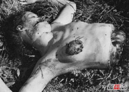 黑色大丽花,暗香浮动，神秘魅惑的花语传奇